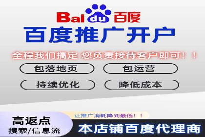 百度推广的成功案例：从零到一的突破